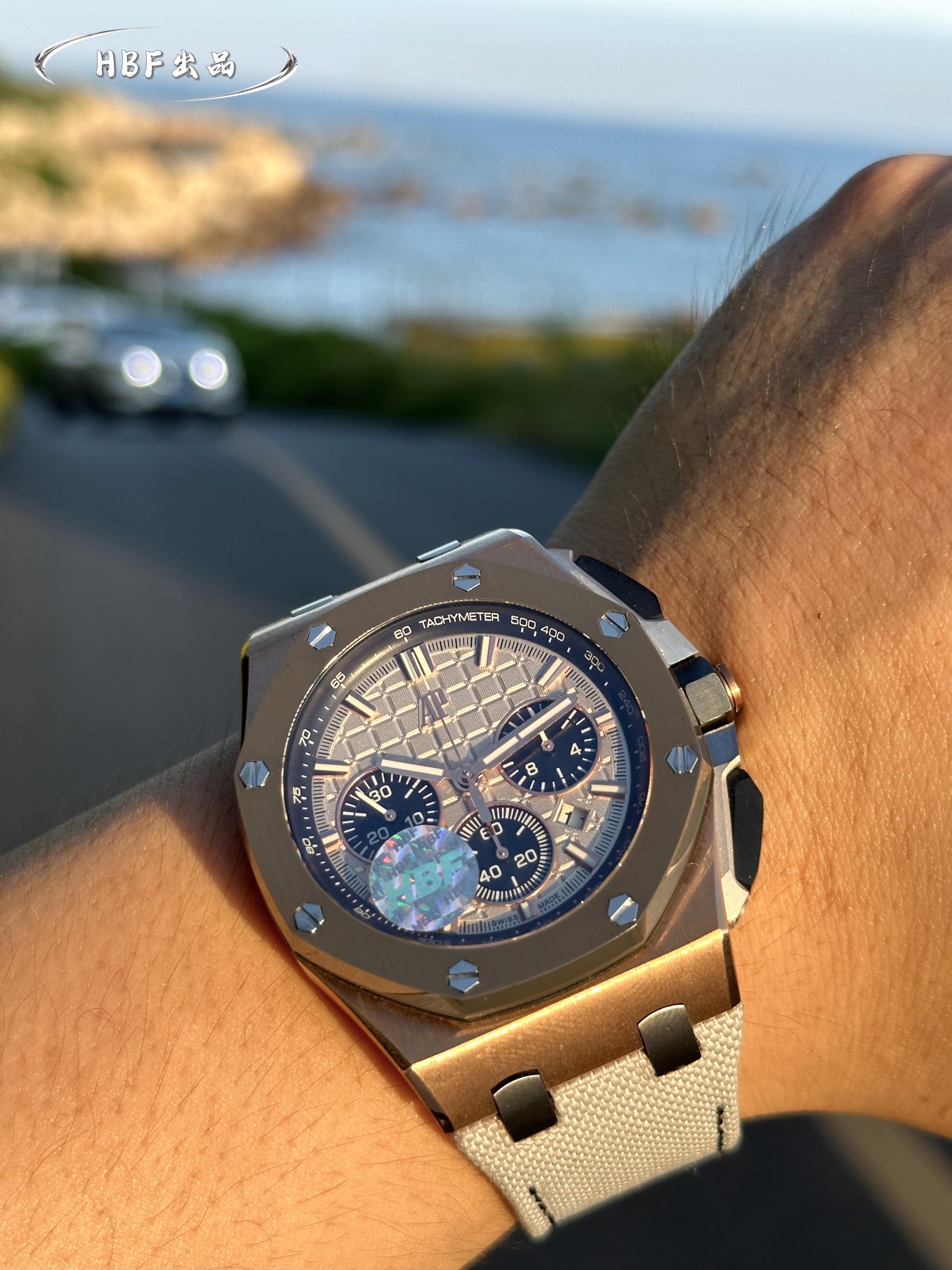 Audemars Piguet watch